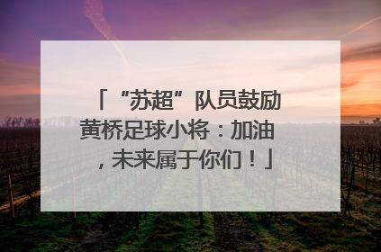 “苏超”队员鼓励黄桥足球小将：加油，未来属于你们！