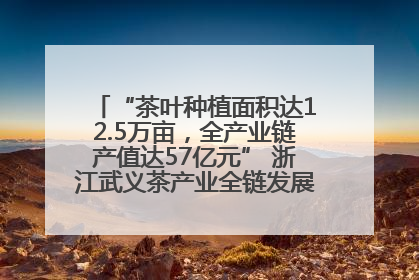 “茶叶种植面积达12.5万亩，全产业链产值达57亿元” 浙江武义茶产业全链发展“加速度”