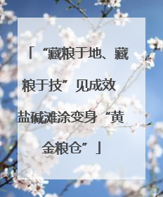 “藏粮于地、藏粮于技”见成效 盐碱滩涂变身“黄金粮仓”