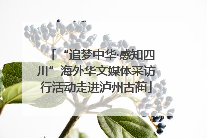 “追梦中华·感知四川”海外华文媒体采访行活动走进泸州古蔺
