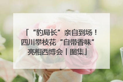 “豹局长”亲自到场！四川攀枝花“自带香味”亮相西博会丨图集