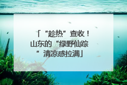 “趁热”查收！山东的“绿野仙踪”清凉感拉满