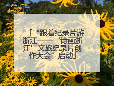 “跟着纪录片游浙江——‘诗画浙江’文旅纪录片创作大会”启动