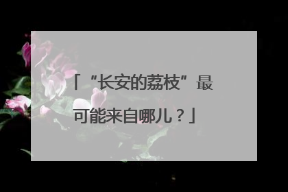 “长安的荔枝”最可能来自哪儿？
