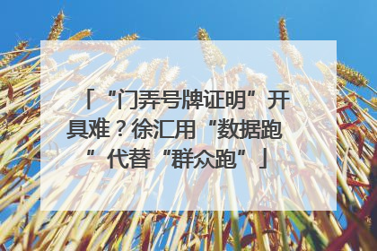 “门弄号牌证明”开具难？徐汇用“数据跑”代替“群众跑”
