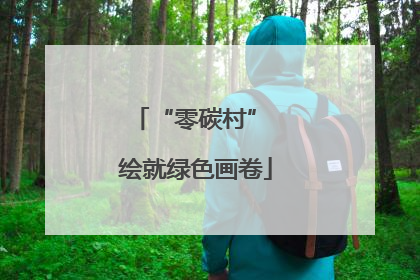 “零碳村” 绘就绿色画卷