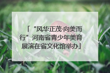 “风华正茂·向美而行”河南省青少年美育展演在省文化馆举办