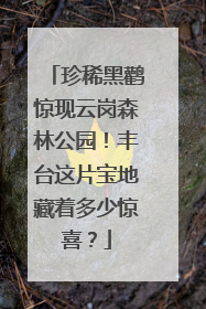 珍稀黑鹳惊现云岗森林公园！丰台这片宝地藏着多少惊喜？