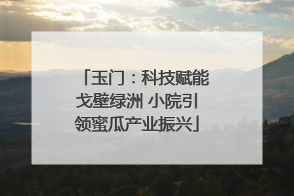 玉门：科技赋能戈壁绿洲 小院引领蜜瓜产业振兴