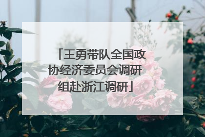 王勇带队全国政协经济委员会调研组赴浙江调研