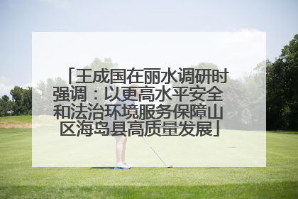 王成国在丽水调研时强调：以更高水平安全和法治环境服务保障山区海岛县高质量发展