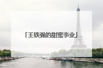 王铁强的甜蜜事业