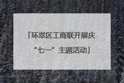 环翠区工商联开展庆“七一”主题活动