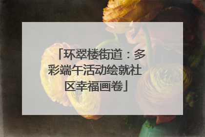 环翠楼街道：多彩端午活动绘就社区幸福画卷