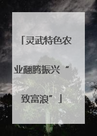 灵武特色农业翻腾振兴“致富浪”