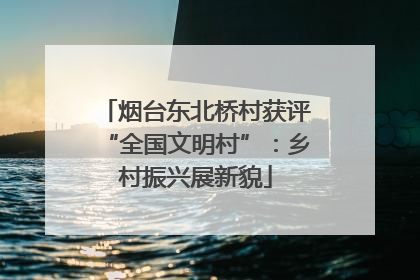 烟台东北桥村获评“全国文明村”：乡村振兴展新貌