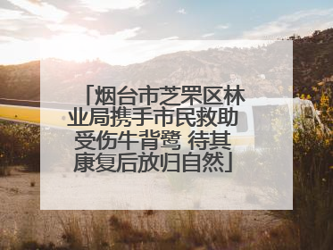 烟台市芝罘区林业局携手市民救助受伤牛背鹭 待其康复后放归自然
