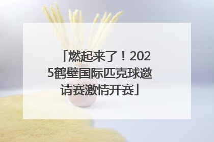 燃起来了！2025鹤壁国际匹克球邀请赛激情开赛