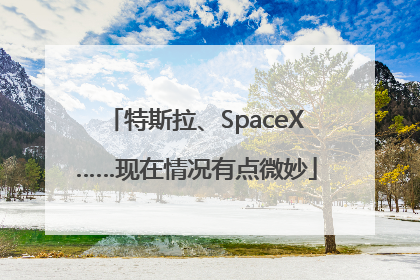 特斯拉、SpaceX……现在情况有点微妙