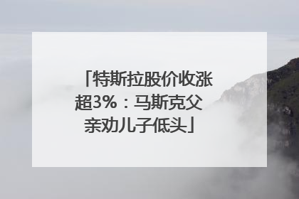 特斯拉股价收涨超3%：马斯克父亲劝儿子低头