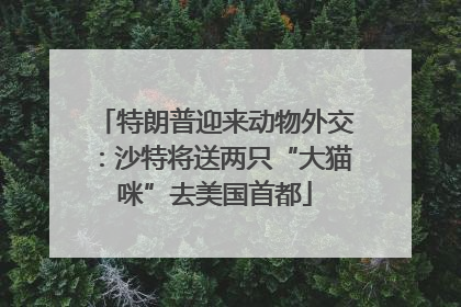 特朗普迎来动物外交：沙特将送两只“大猫咪”去美国首都