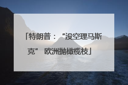 特朗普：“没空理马斯克” 欧洲抛橄榄枝