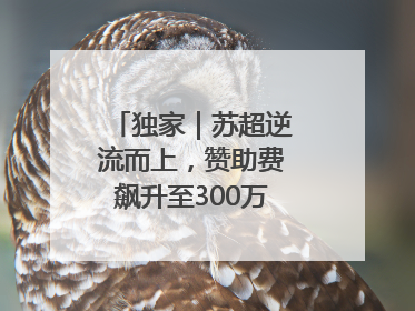 独家｜苏超逆流而上，赞助费飙升至300万，仍一席难求