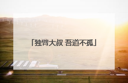 独臂大叔 吾道不孤