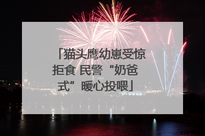 猫头鹰幼崽受惊拒食 民警“奶爸式”暖心投喂