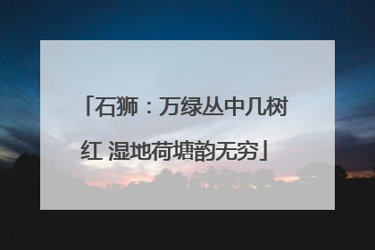 石狮：万绿丛中几树红 湿地荷塘韵无穷