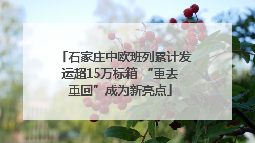 石家庄中欧班列累计发运超15万标箱 “重去重回”成为新亮点