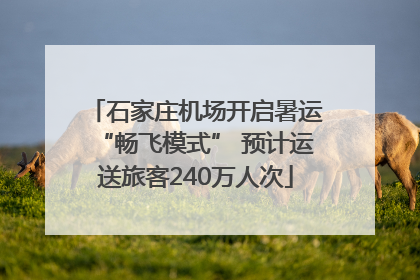 石家庄机场开启暑运“畅飞模式” 预计运送旅客240万人次