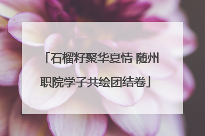 石榴籽聚华夏情 随州职院学子共绘团结卷