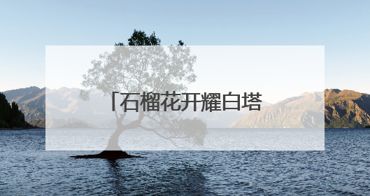 石榴花开耀白塔，新街口举办民族共同体宣传活动