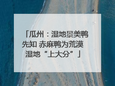 瓜州：湿地景美鸭先知 赤麻鸭为荒漠湿地“上大分”