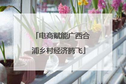 电商赋能广西合浦乡村经济腾飞