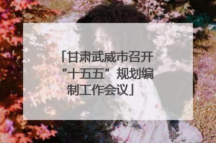 甘肃武威市召开“十五五”规划编制工作会议