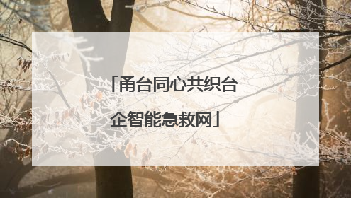 甬台同心共织台企智能急救网