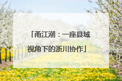甬江潮：一座县域视角下的浙川协作