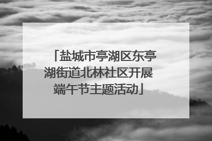 盐城市亭湖区东亭湖街道北林社区开展端午节主题活动