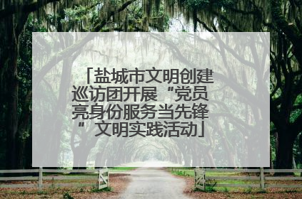 盐城市文明创建巡访团开展“党员亮身份服务当先锋”文明实践活动