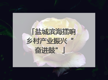 盐城滨海擂响乡村产业振兴“奋进鼓”