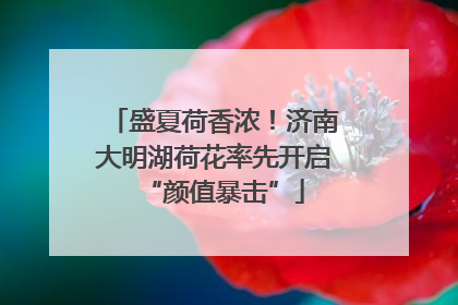盛夏荷香浓！济南大明湖荷花率先开启“颜值暴击”