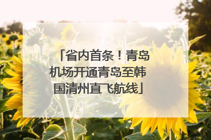 省内首条！青岛机场开通青岛至韩国清州直飞航线