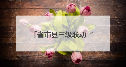 省市县三级联动“信访+DeepSeek”创新工作新闻发布会举行