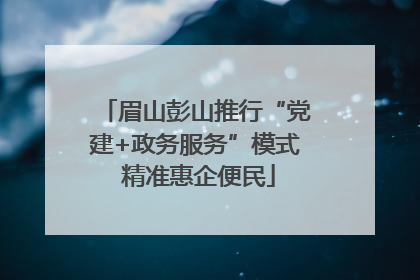 眉山彭山推行“党建+政务服务”模式 精准惠企便民