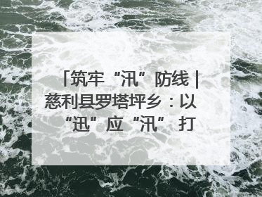 筑牢“汛”防线｜慈利县罗塔坪乡：以“迅”应“汛” 打赢暴雨防御战