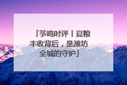 筝鸣时评丨夏粮丰收背后，是潍坊全城的守护