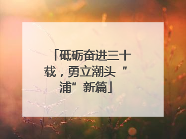 砥砺奋进三十载，勇立潮头“浦”新篇