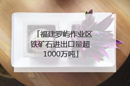 福建罗屿作业区铁矿石进出口量超1000万吨